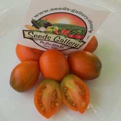 Summer Temptation Tomato Seeds