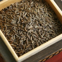Caraway spice and medicine - whole fruit