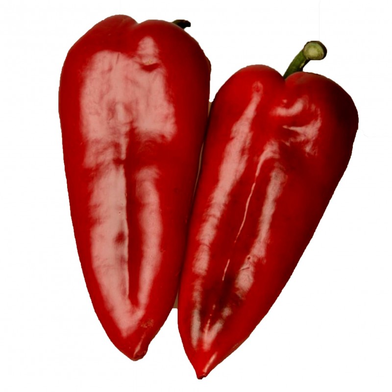 Details about   Big Red Hybrid Hot Pepper Seeds 