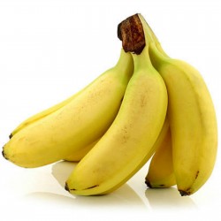 Banana Frön Musa nagensium Cold Hardy -20C