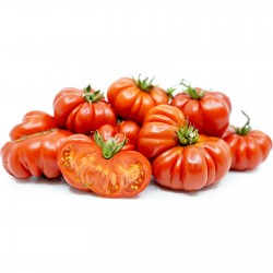 Sementes de tomate...