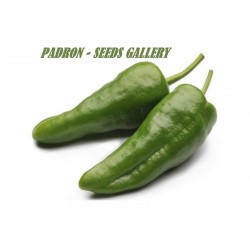 Σπόροι Τσίλι - πιπέρι Del Padron