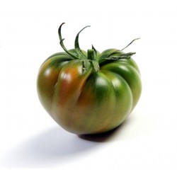 Semillas de tomate RAF