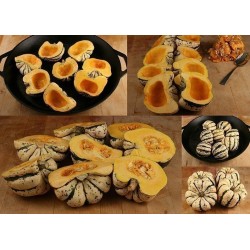 Σκουός Σπόροι Cucurbita pepo “Sweet Dumpling”
