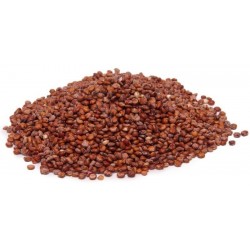 Röd eller Vit Quinoa Frön (Chenopodium quinoa)