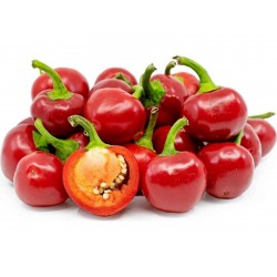 Cherry Red Τσίλι Σπόροι