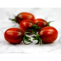 Sementes de tomate BLACK PLUM