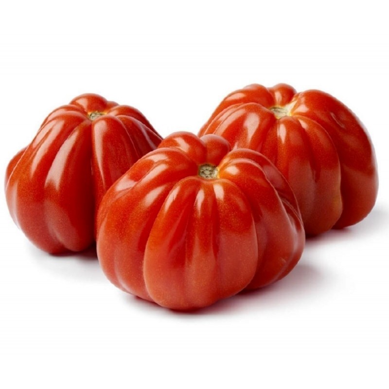 Sementes de Tomate italiano CUOR DI BUE