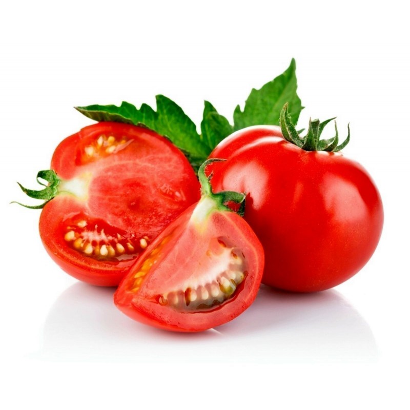Tomat Moneymaker ekologiskt frö