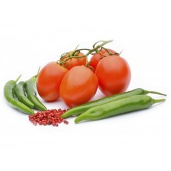 Hur sådd och odling tomat och chili