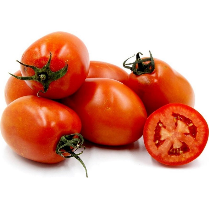 Semillas de tomate ROMA NANO