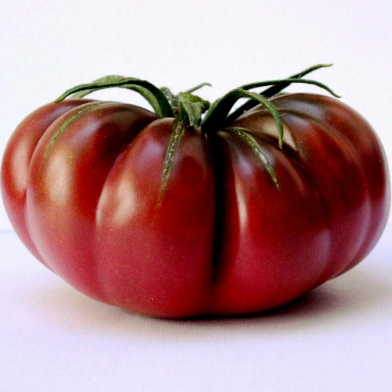 Semillas de tomate PURPLE CALABASH