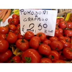 Sementes de tomate GRAPPOLO