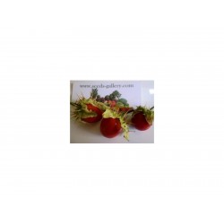 Litchi Tomato 5000 Sementes - Morelle de Balbis