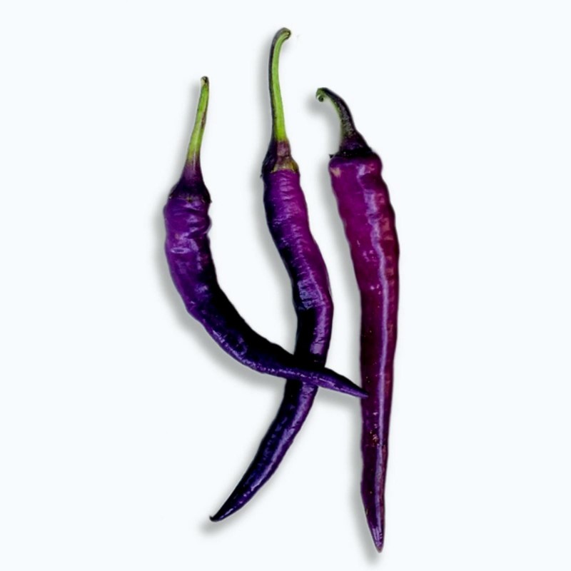 Σπόροι πιπεριά Τσίλι Cayenne purple
