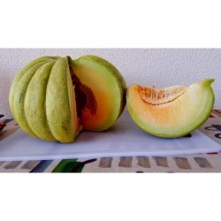 Ελλάδα Πεπόνι - Πράσινο Μπανάνα σπόροι