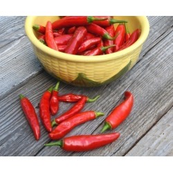 ONZA Hot Chilli Pepper Seeds