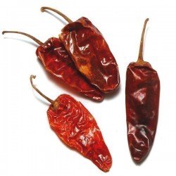 Seme Cuvene Meksicke Chili – Cili Papricice ONZA