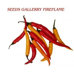 FIREFLAME Τσίλι – πιπέρι σπόροι