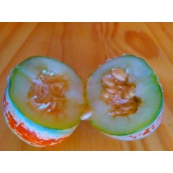 Semillas de melon KAJARI