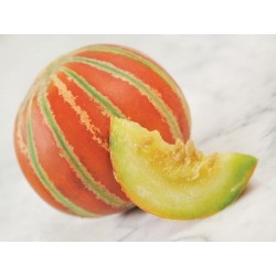 Seltene KAJARI Melone Samen