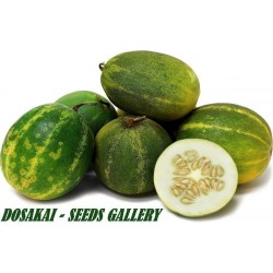 DOSAKAI Indian Cucumber Seeds