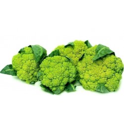 Zeleni Karfiol Seme - Zdravo Povrce