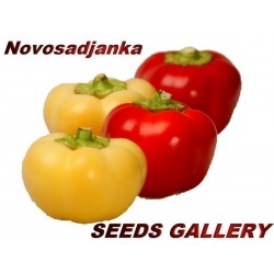 Sementes de Pimenta doce ''Novosadjanka''