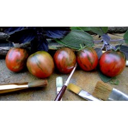 Black Vernissage Tomato Seeds