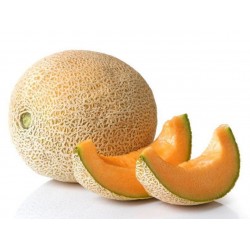 Semillas de Rare "Luxury" Yubari King Melon