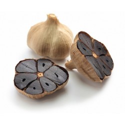 Or Noir - Gousses - Graines de Ail noir (Allium roseum)