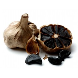 Crni Beli luk Lukovice - Crno Zlato (Allium roseum)