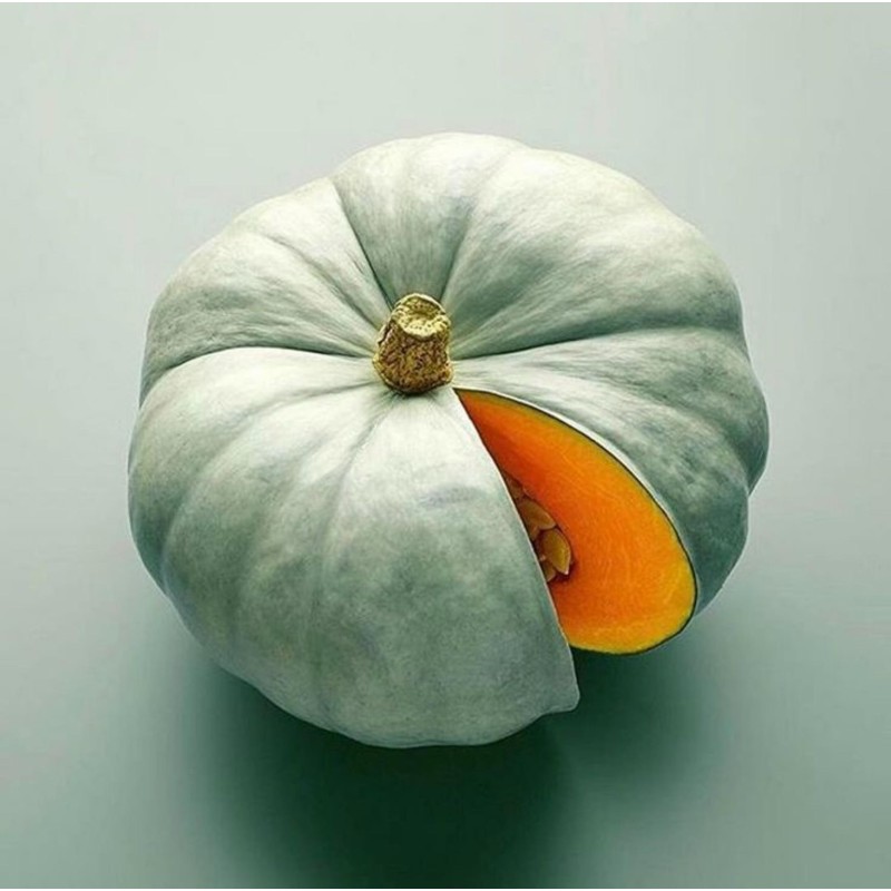 Semillas de calabaza Prince Crown