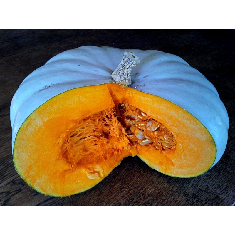 Semillas de calabaza Prince Crown
