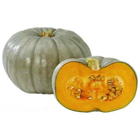Semillas de calabaza Prince Crown