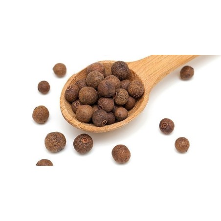 Piment oder Pimenta Gewürz