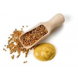 Gul senap kryddor - oslipade 1.25 - 1