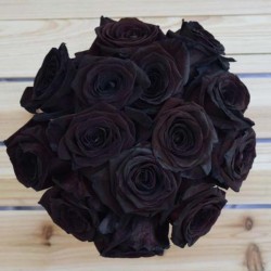 Σπόροι Black Rose Σπάνιες 2.5 - 3