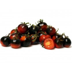 Semillas de tomate INDIGO ROSE Raras 2.5 - 1