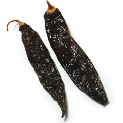 Semi di peperoncino peruviano Ají Panca (Capsicum baccatum) 1.65 - 6