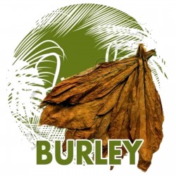 Semi di Tabacco Burley aroma di cacao 1.95 - 1