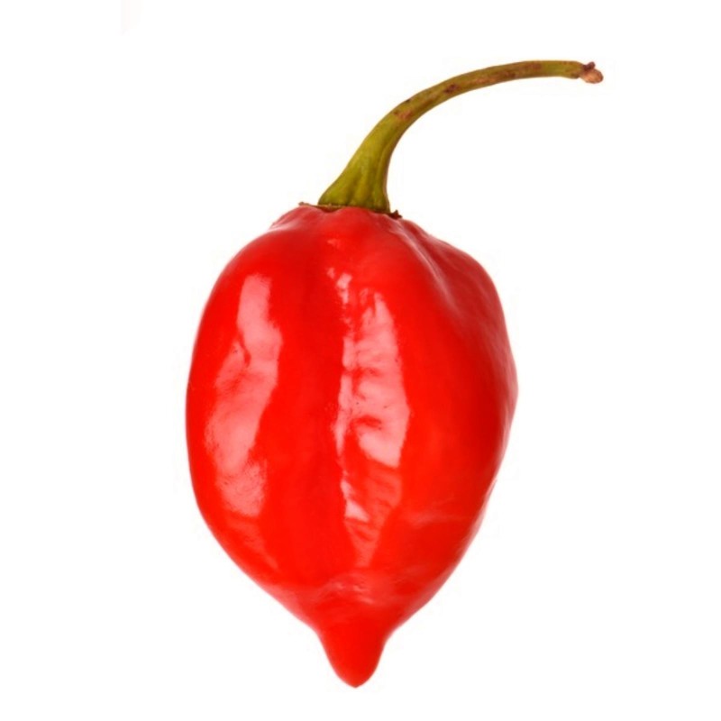 Habanero Savina Red Seeds 2.45 - 5