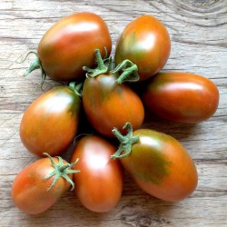 Graines de tomate PRUNE NOIRE - BLACK PLUM 2.85 - 3