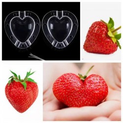 Moules à fruits : Façonnez des fruits aux formes Cœur 15 - 1