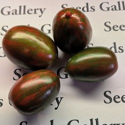 Purple Fairy Tomato Seeds 1.55 - 1
