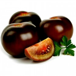 1000 Semillas De Tomate Negro “Kumato” 85 - 4