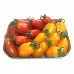 Semillas de tomate Mini San Marzano Amarillo y rojo 1.95 - 4