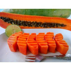 Dwarf "KAK DUM Variety" Long Papaya Seeds 3 - 9