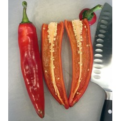Hot Chili Pepper ANAHEIM seeds (Capsicum Annuum) 1.75 - 4