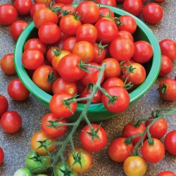 Sementes de Tomate SUPERSWEET 100 1.85 - 4